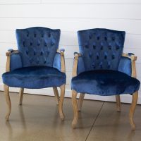 Birdie Blue Chairs
